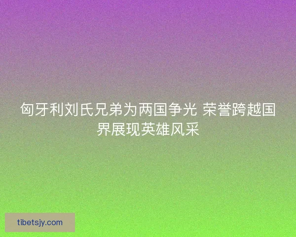 匈牙利刘氏兄弟为两国争光 荣誉跨越国界展现英雄风采