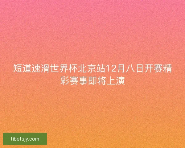 短道速滑世界杯北京站12月八日开赛精彩赛事即将上演