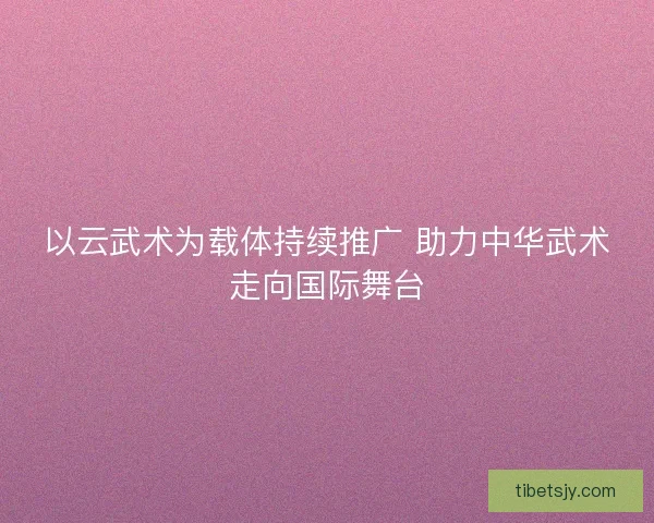 以云武术为载体持续推广 助力中华武术走向国际舞台